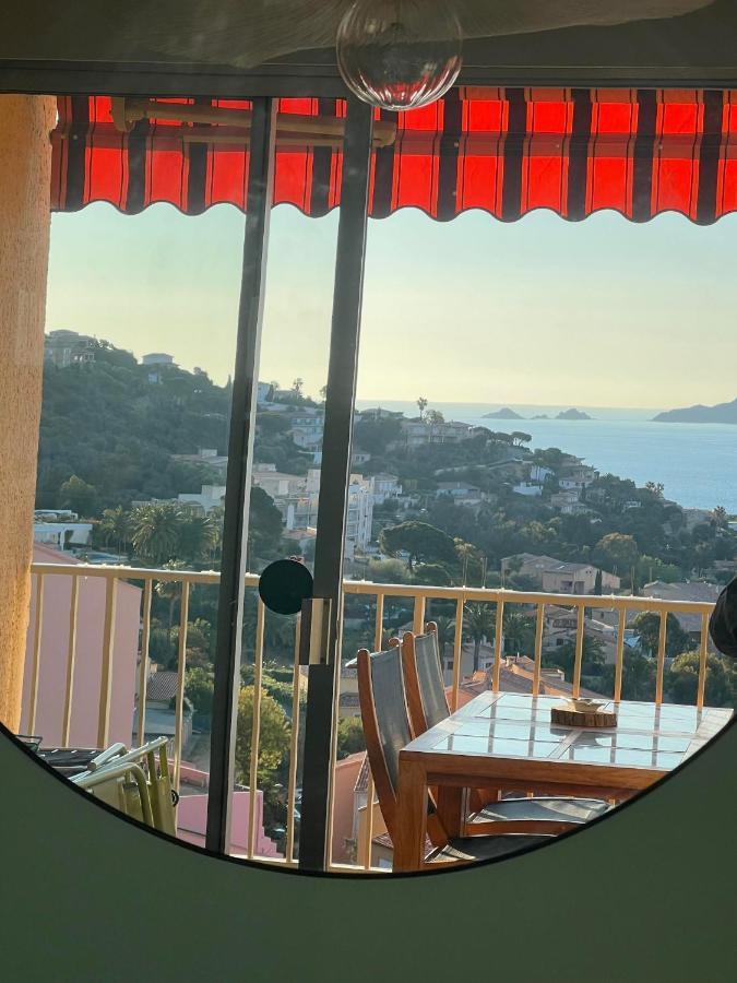 Super Appartement Vue Sanguinaires Ajaccio  Zewnętrze zdjęcie